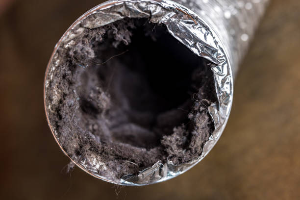 Best Air Duct Cleaning Company Near Me  in Pinehurst, TX